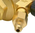 4-sae.jpg